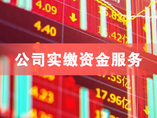 利川公司实缴资金服务